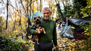 Thumbnail for 6801346