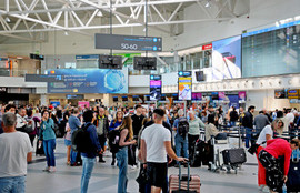 Thumbnail for 6801348