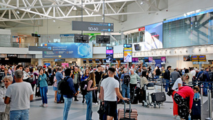 Thumbnail for 6801348