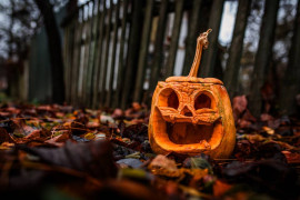 Thumbnail for 6801437