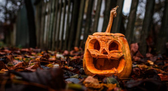 Thumbnail for 6801437