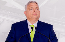 Thumbnail for 6801503