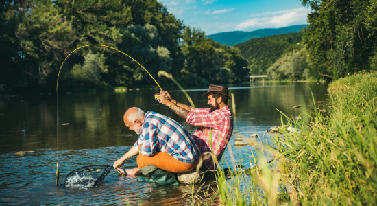 Thumbnail for 6801554