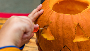 Thumbnail for 6801671