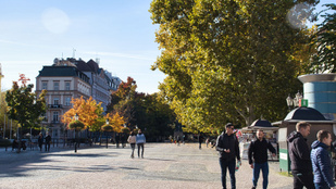 Thumbnail for 6801673