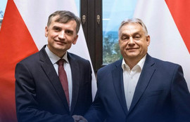 Thumbnail for 6801885