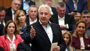 Thumbnail for 6801887