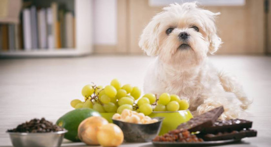 Thumbnail for 6802018