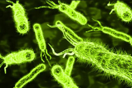 Thumbnail for 6802126