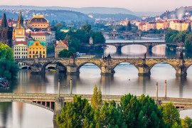 Thumbnail for 6802169