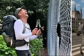 Thumbnail for 6802206