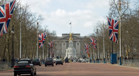 Thumbnail for 6802227