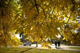 Thumbnail for 6802305