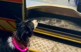 Thumbnail for 6802348