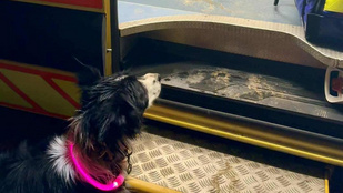 Thumbnail for 6802348