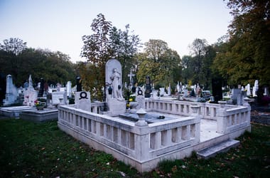 Thumbnail for 6802374