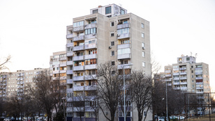 Thumbnail for 6802377