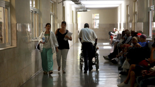 Thumbnail for 6802381