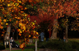 Thumbnail for 6802388