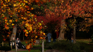 Thumbnail for 6802388