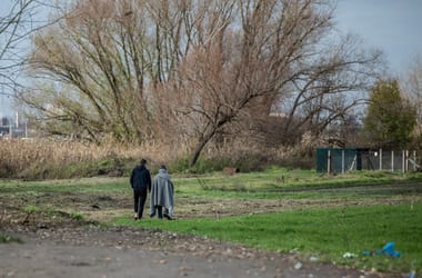 Thumbnail for 6802462