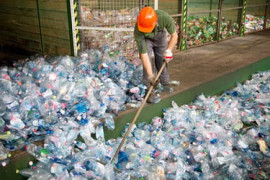 Thumbnail for 6802464