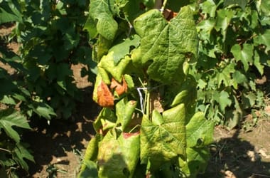 Thumbnail for 6802496