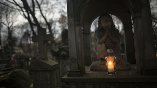 Thumbnail for 6802565