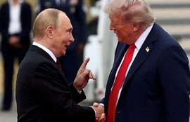 Thumbnail for 6802570