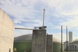 Thumbnail for 6802579