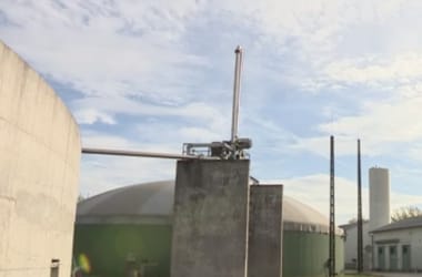 Thumbnail for 6802579