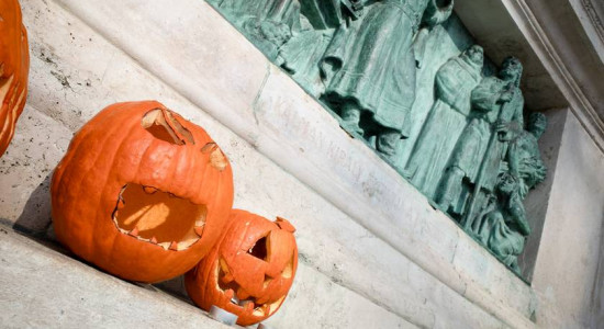 Thumbnail for 6802603