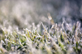 Thumbnail for 6802712