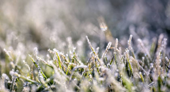 Thumbnail for 6802712