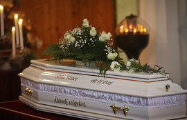 Thumbnail for 6802792