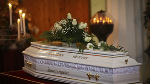 Thumbnail for 6802792