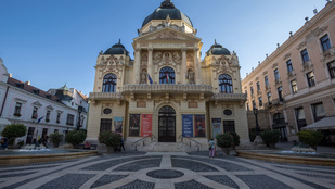 Thumbnail for 6803034