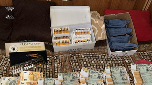 Thumbnail for 6803059