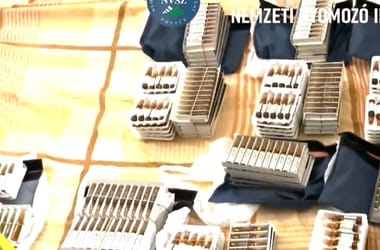 Thumbnail for 6803070