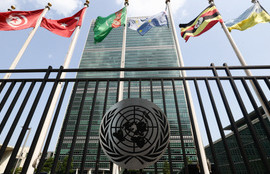 Thumbnail for 6803172