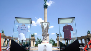 Thumbnail for 6803201