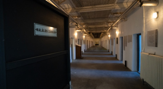 Thumbnail for 6803261