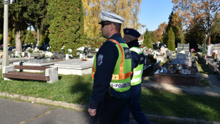 Thumbnail for 6803293