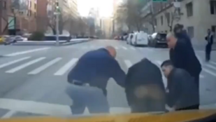 Thumbnail for 6803299