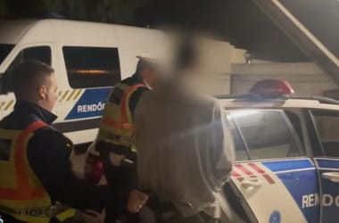 Thumbnail for 6803397