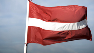 Thumbnail for 6803403