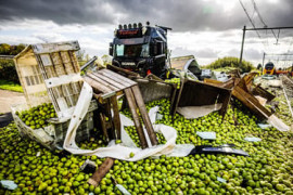 Thumbnail for 6803409