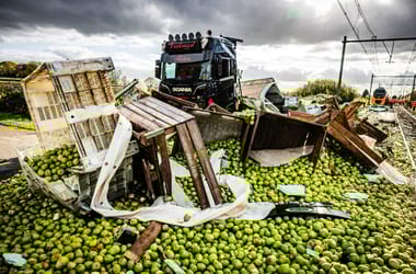 Thumbnail for 6803409