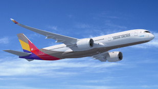 Thumbnail for 6803438