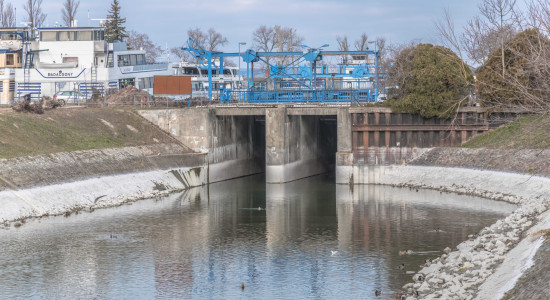 Thumbnail for 6803444